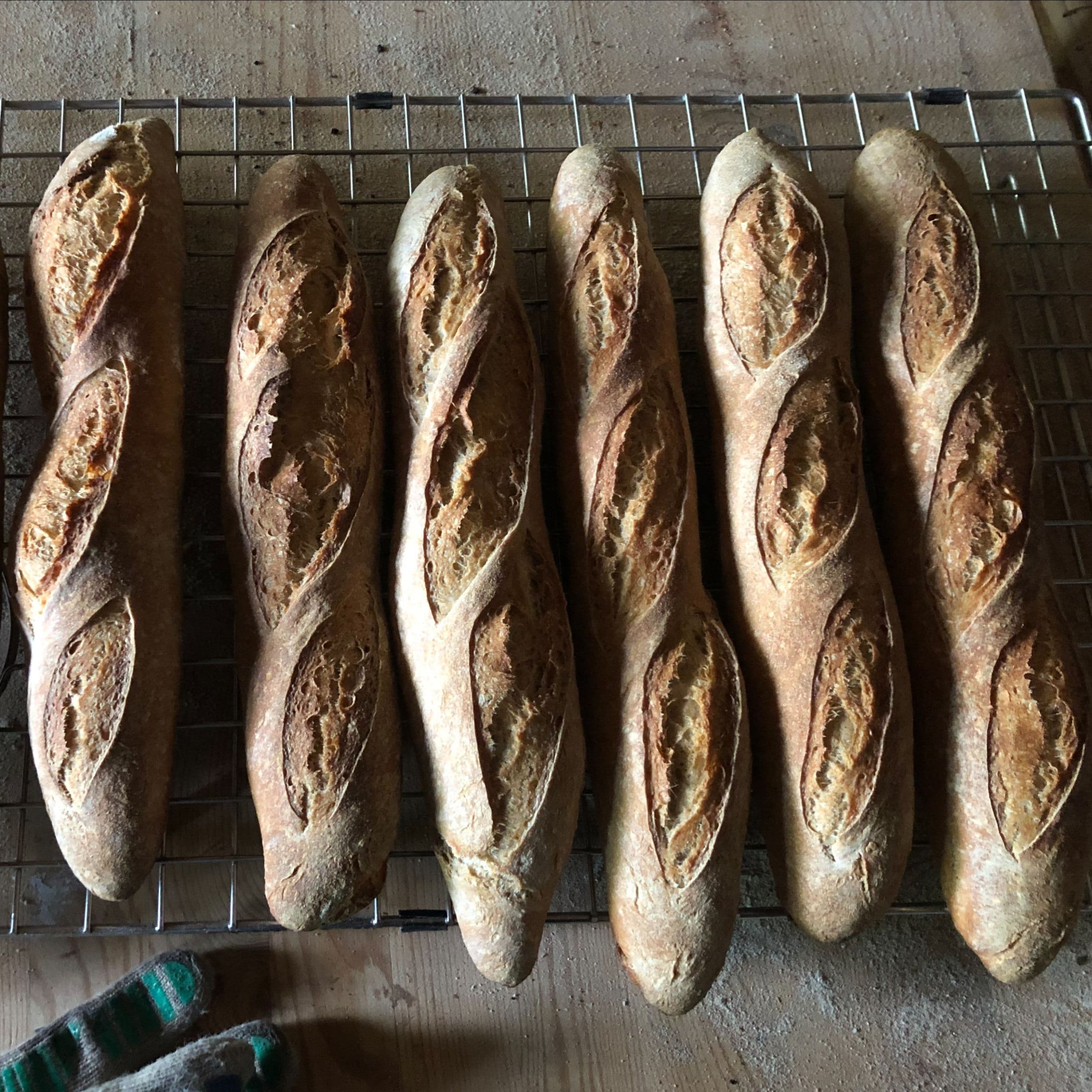 Short List Provisions bread